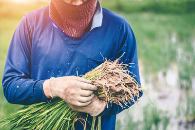 Midsection of man holding plants while standing on field