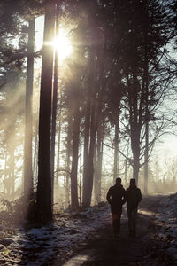 Tourists on tree trunk in forest