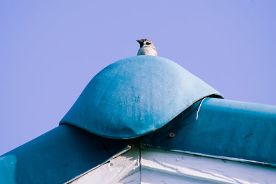 Low angle view of seagull on roof against clear blue sky