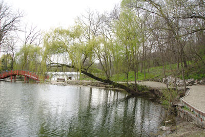 Footbridge over river against trees