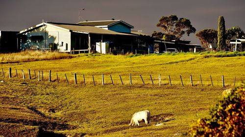 View of a house in field