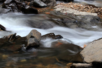 Scenic view of waterfall