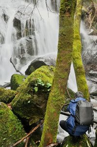 Scenic view of waterfall in forest