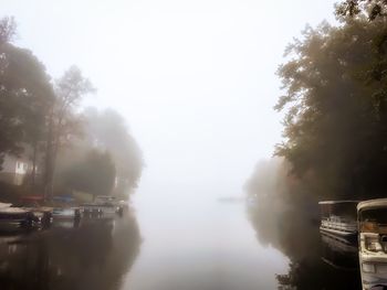 Panoramic shot of trees against sky