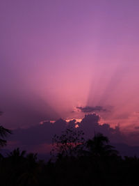 Silhouette trees against sky during sunset