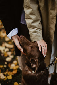 Midsection of man holding dog