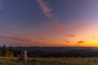 Scenic view of field against sky during sunset