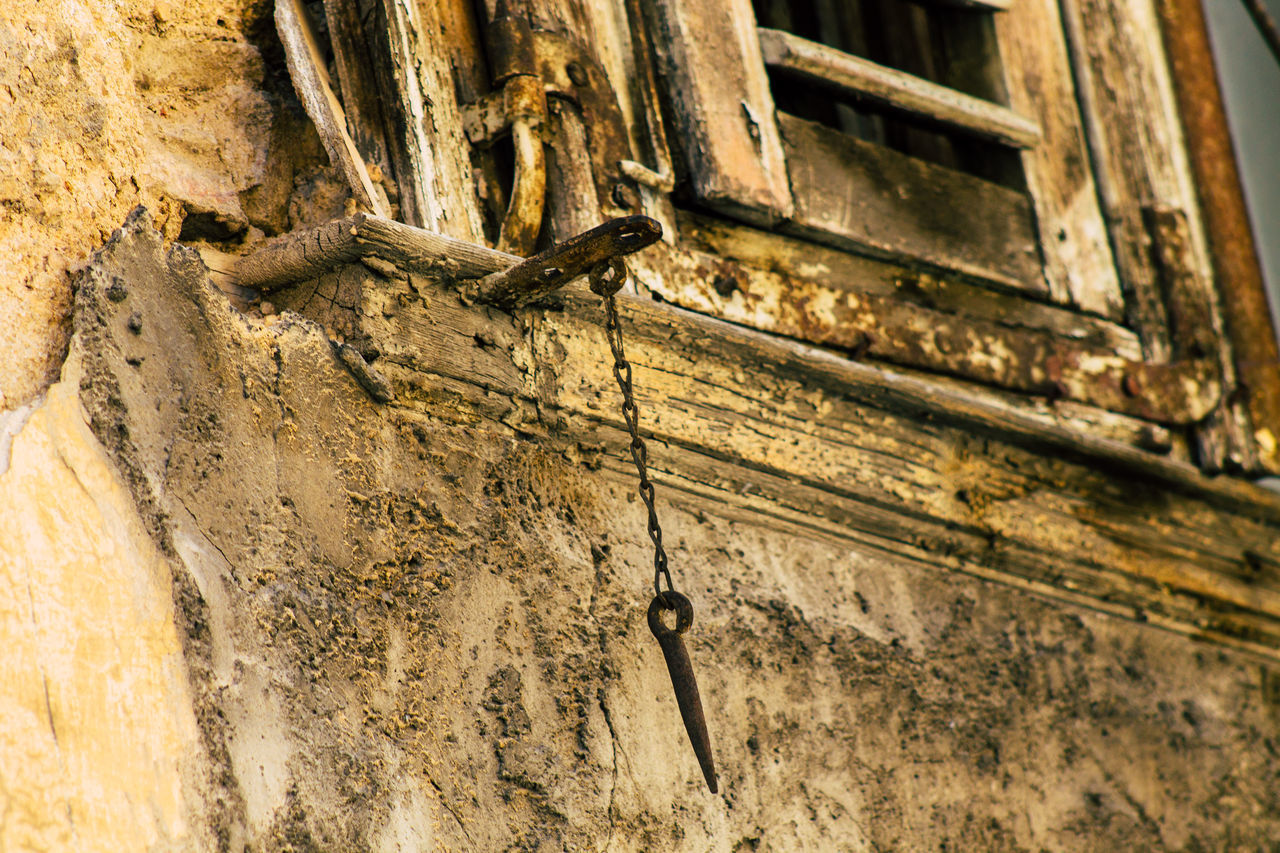 CLOSE-UP OF AN ANIMAL OLD WEATHERED WALL