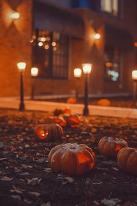 View of pumpkins on illuminated street during night