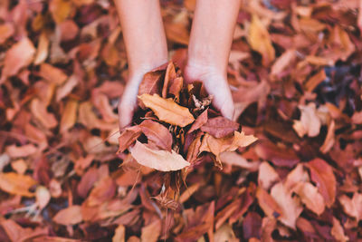 Low section of person with autumn leaves