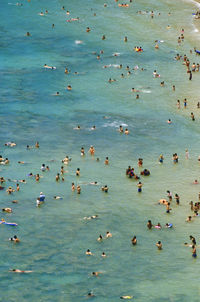 High angle view of ducks swimming in sea