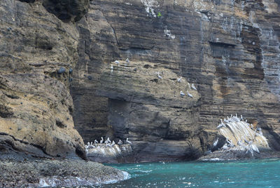 Rock formations on cliff