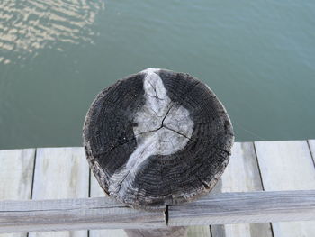 Close-up of wood on sea shore