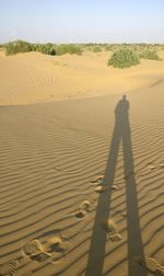 Shadow of man on sand at beach against sky