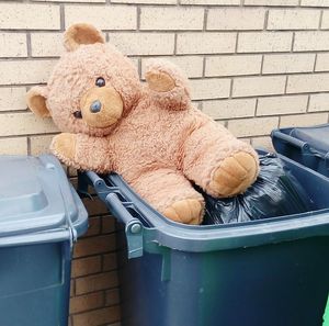 Teddy bear in garbage can against wall