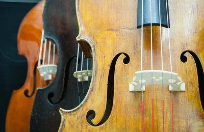 Close-up of double basses