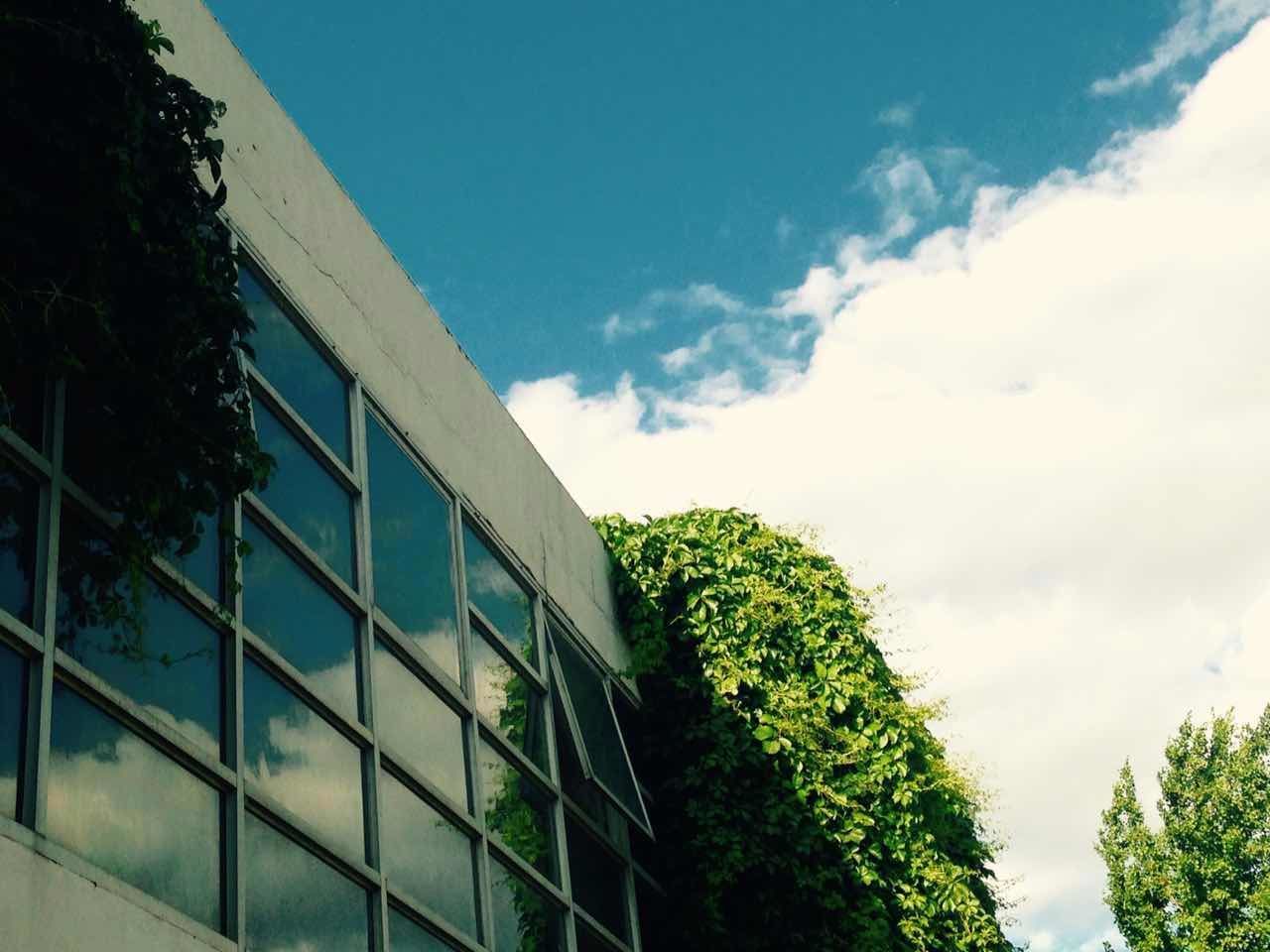low angle view, architecture, built structure, sky, building exterior, tree, growth, cloud - sky, blue, building, day, cloud, modern, no people, outdoors, glass - material, office building, green color, tall - high, sunlight
