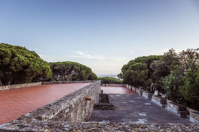 Trees and bushed on the side of an old stone wall ruins and red tiled floor