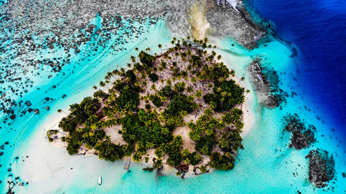 Island in bora bora 