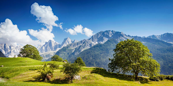 Panoramic view of trees and mountains against sky