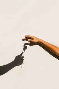 Two hands making love heart shadow symbol on the white background