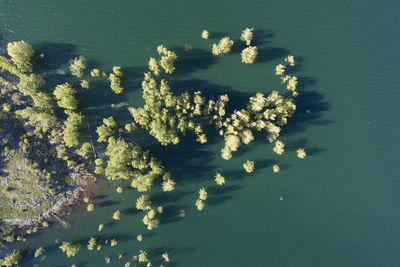 Porma's reservoir and dam from aerial view