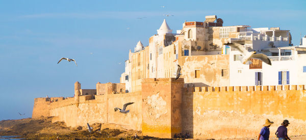 Birds flying over historic building against sky