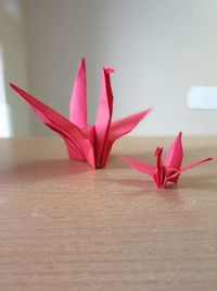 Close-up of red flower