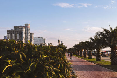 City landscape in batumi. beautiful nature in the city of georgia. boulevard. bike path. 