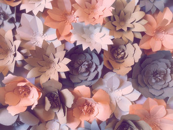 High angle view of flowers on floor