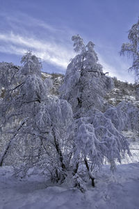 Snow covered landscape against sky