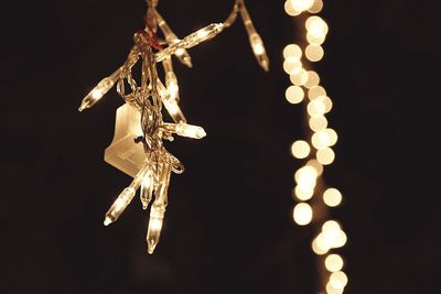 Low angle view of illuminated christmas lights against black background