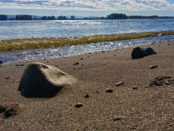 Scenic view of beach against sky