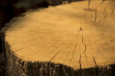 Close-up of wood