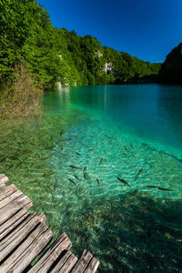 Scenic view of lake