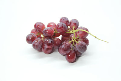 Close-up of grapes against white background