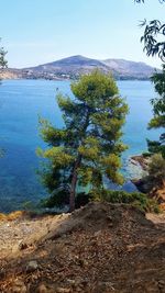 Scenic view of lake against clear sky