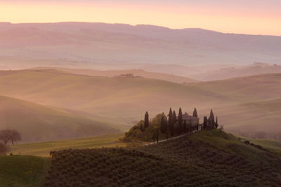 Scenic view of tuscany landscape during sunset