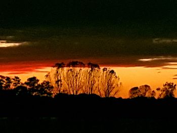 Silhouette trees against sky at sunset