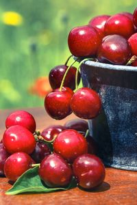 Sweet red cherries in a pot with nature background 