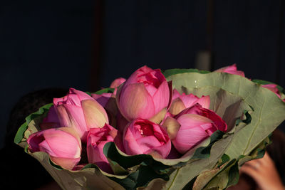 Close-up of pink rose bouquet against black background