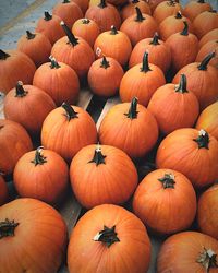 Full frame shot of pumpkins