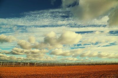 Scenic view of field against cloudy sky