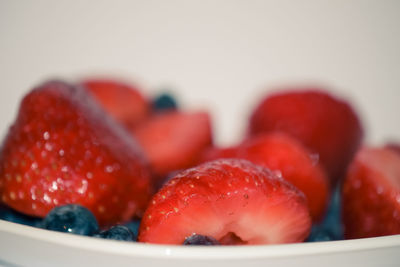 Close-up of served food