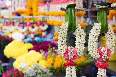 Close-up of flowering plant for sale at market stall