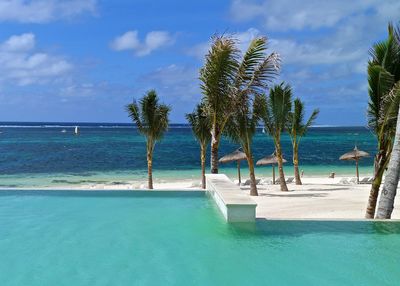 Infinity pool by palm trees at beach against sky