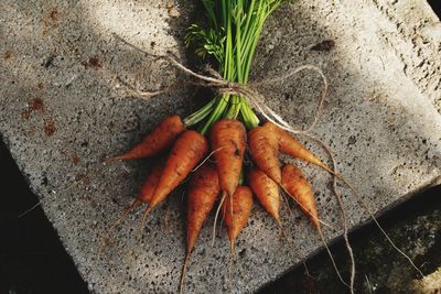 High angle view of fresh vegetables