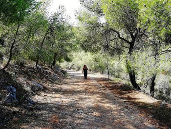 Woman walking on road amidst trees in forest