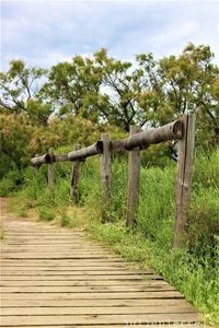 Wooden fence on field against sky