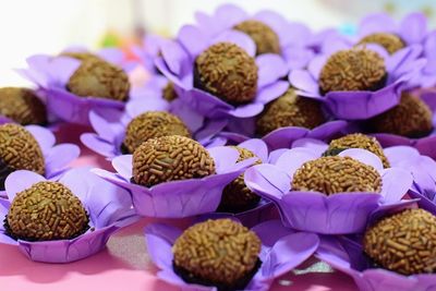 Close-up of purple flowers on table